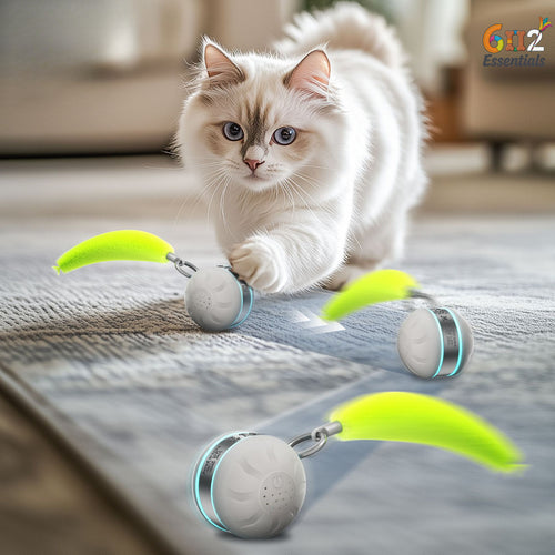 6f1e77f7-115a-4d4f-8be2-e5a24614faf1