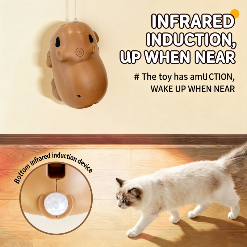 d1e1019f-28c4-473a-8b57-a6d52e95b5d5