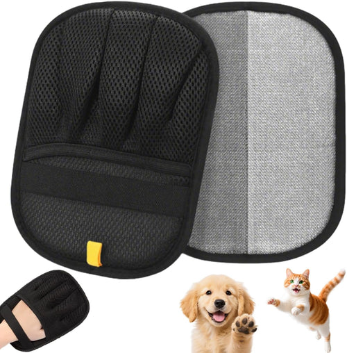 7b31e5d1-8ee5-4d10-8f17-a6d20d57b737